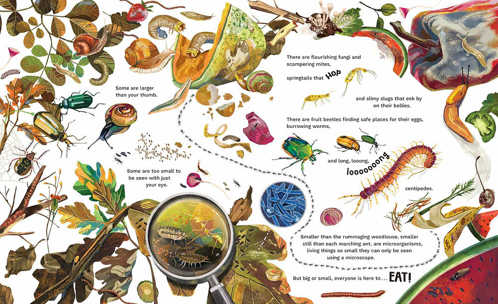 Inside the Compost Bin