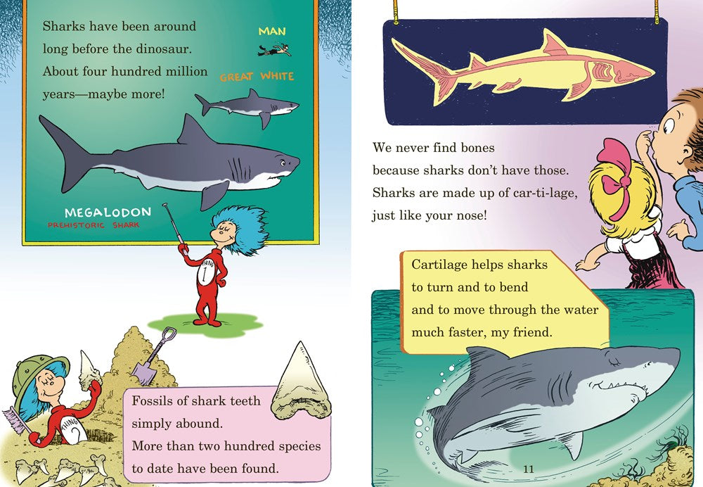 Hark! A Shark! All About Sharks