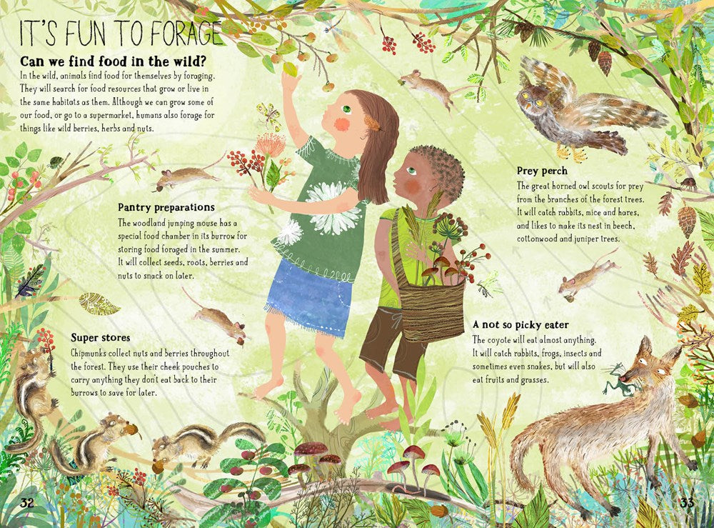 The Big Book of Belonging