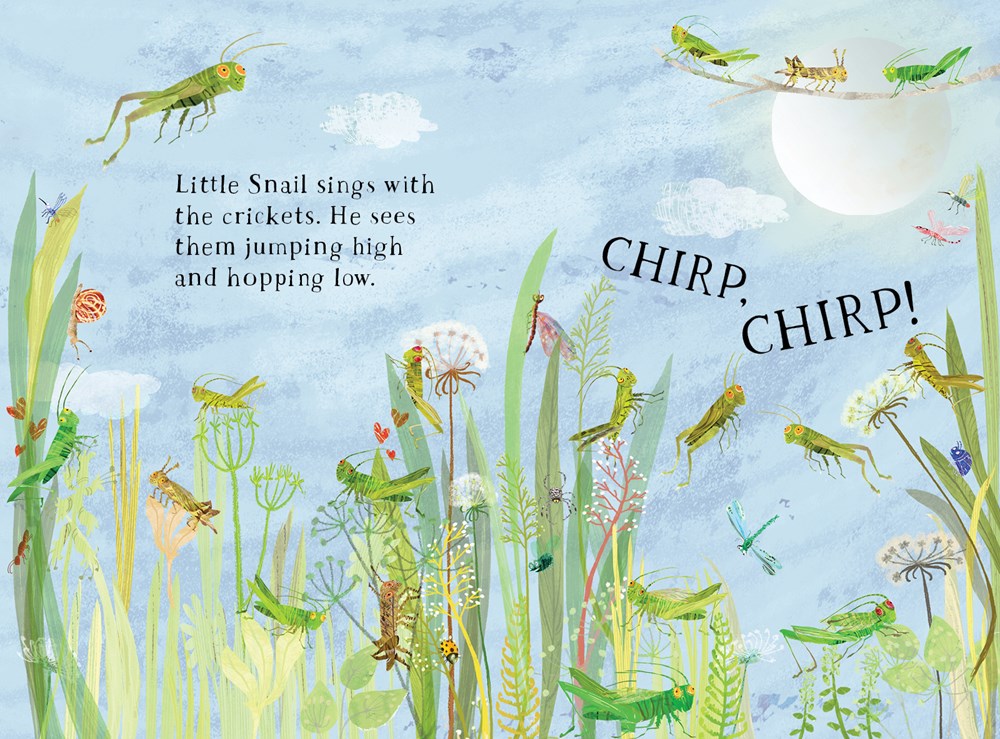 Little Snail's Book of Bugs