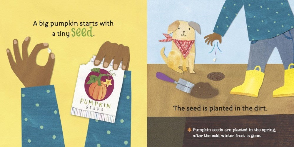 Hello, World! From Seed to Pumpkin