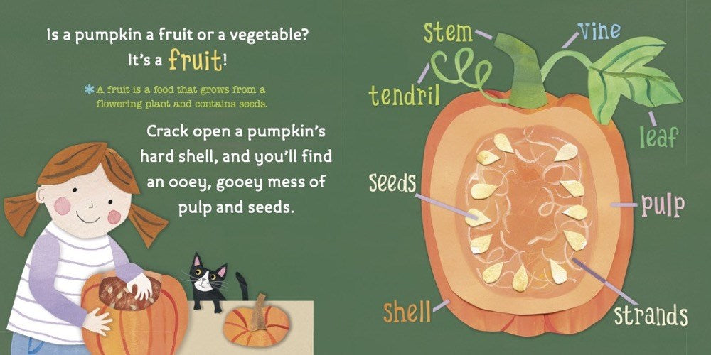 Hello, World! From Seed to Pumpkin