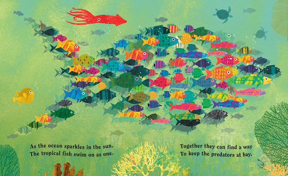 Ocean: A Peek-Through Board Book