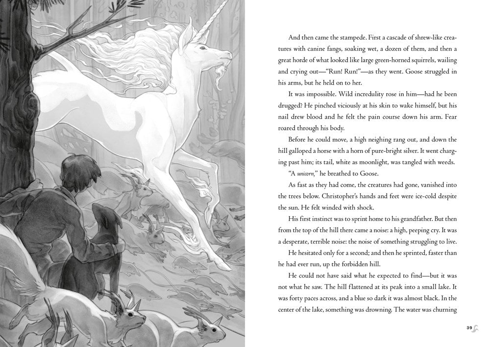 Impossible Creatures (Book #1) (PB)