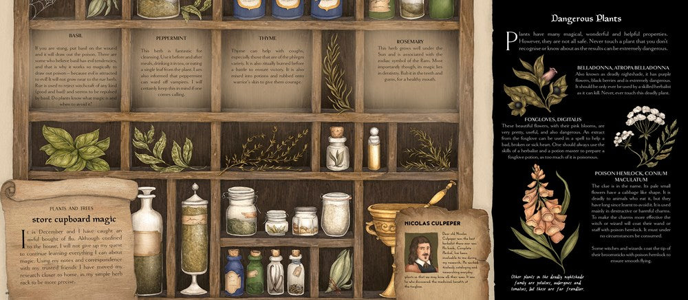A Natural History of Magick (Book #2)