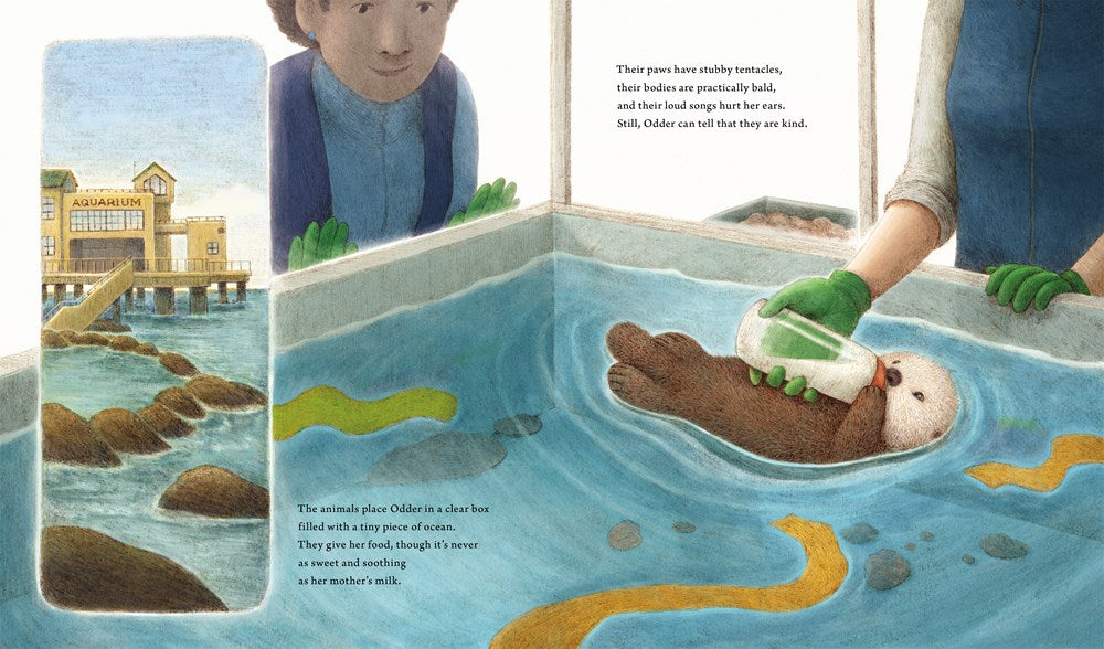 Odder: An Otter's Story