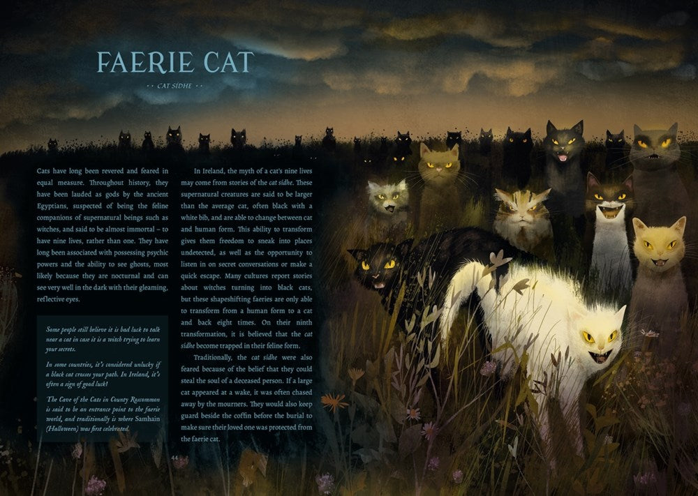 The Faerie Isle: Tales and Traditions of Ireland’s Forgotten Folklore