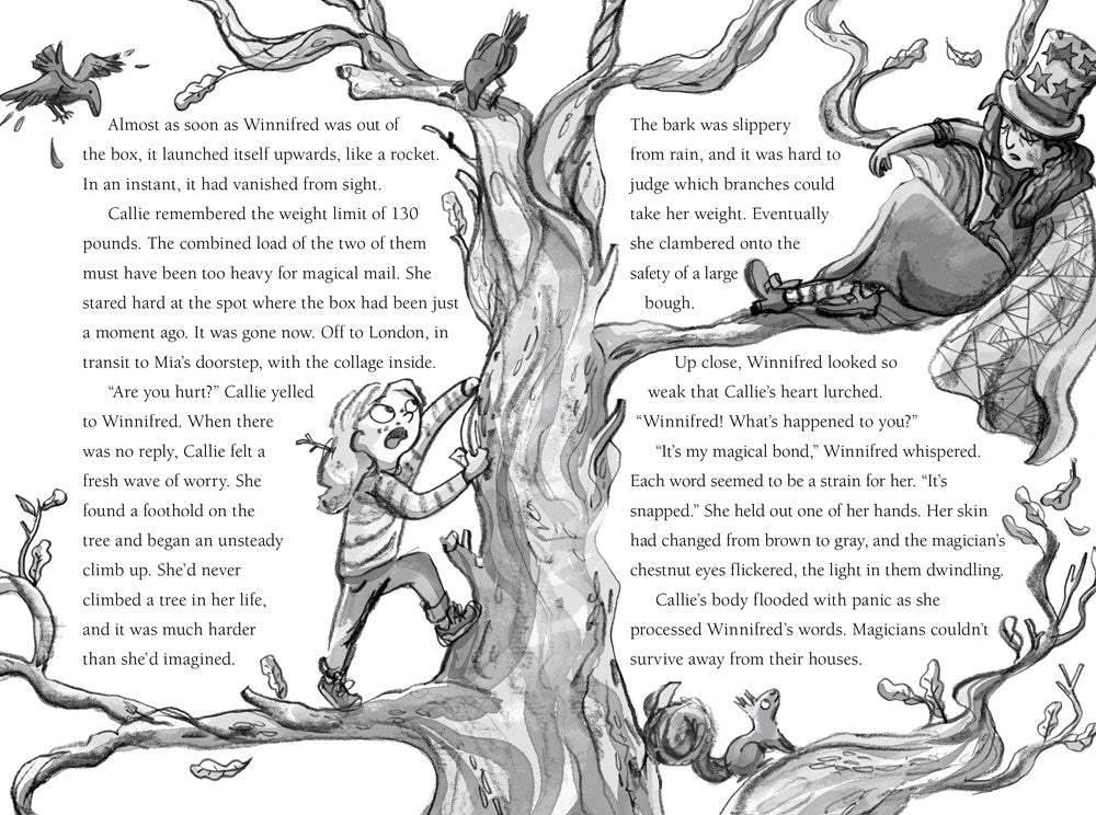 The Magician Next Door