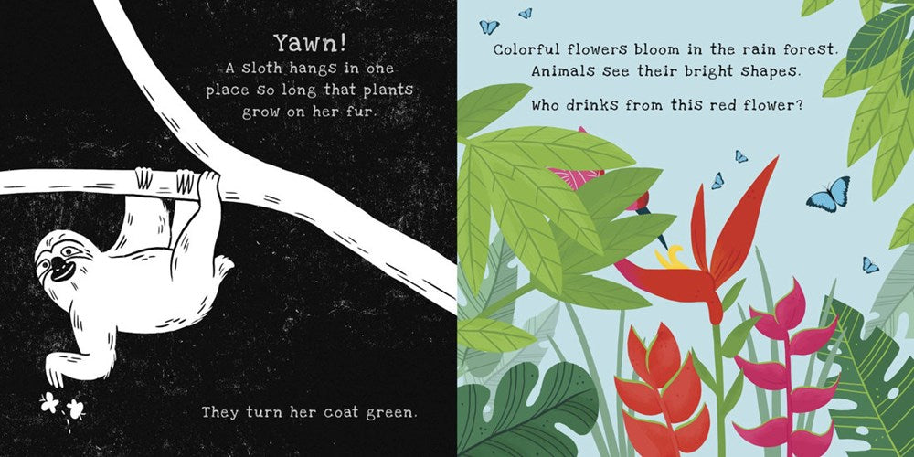 Secrets of the Rain Forest