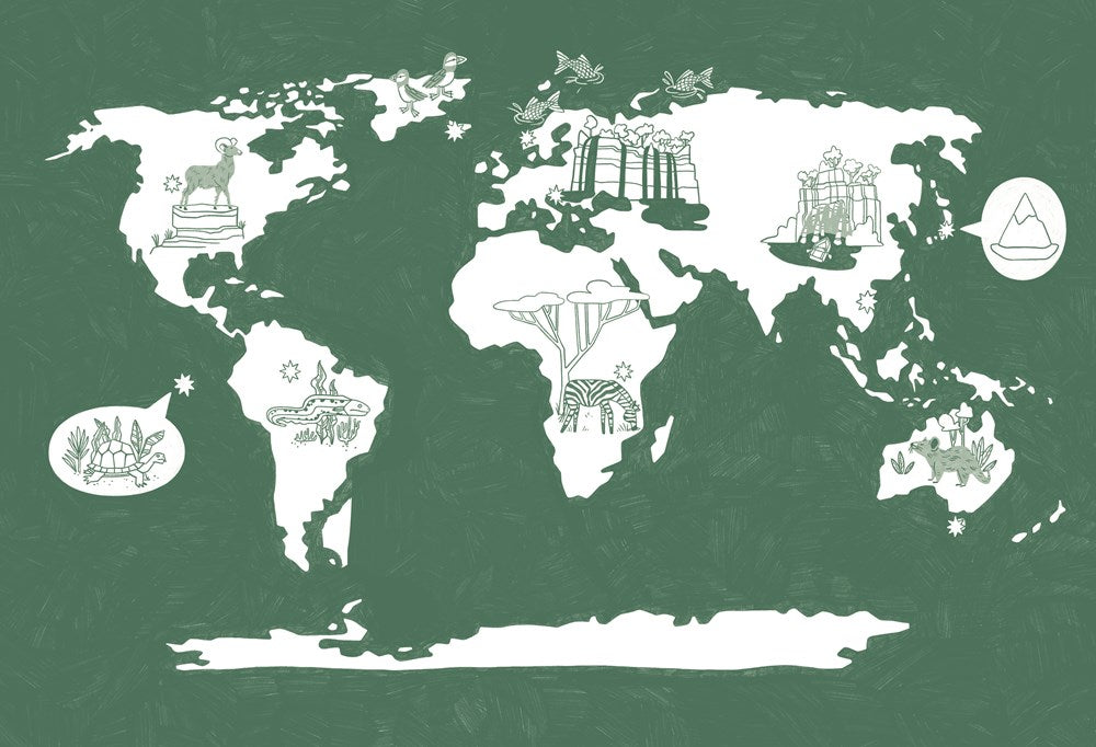 A Girl's Guide to the Wild: Be an Adventure-Seeking Outdoor Explorer!