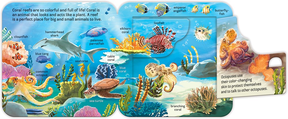 Ocean: Peek-a-Flap