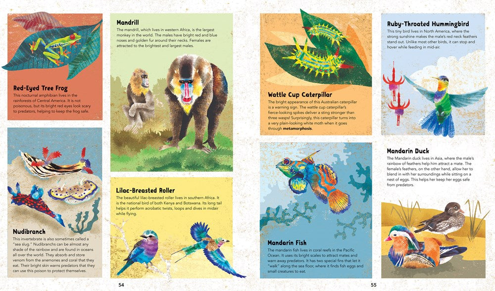 Barefoot Books Incredible Animals