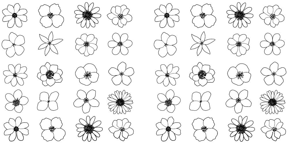 Modern Flowers: How to Draw Books for Kids with Flowers, Plants, and Botanicals (Book #2)