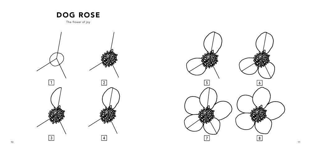 Modern Flowers: How to Draw Books for Kids with Flowers, Plants, and Botanicals (Book #2)