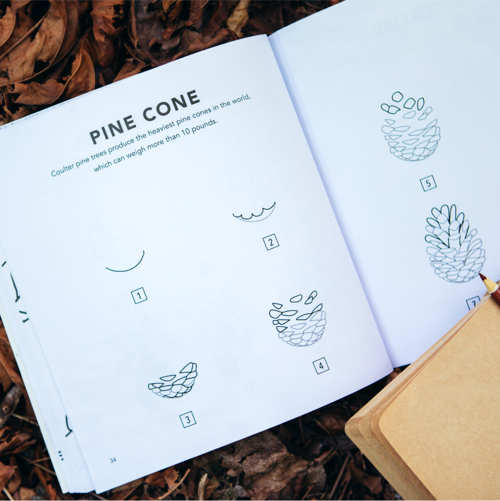 Fall Things: How to Draw Books for Kids with Pumpkins, Scarecrows, Turkeys and More (Book #10)