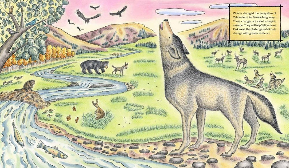 The Wolf Effect: A Wilderness Revival Story