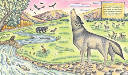 The Wolf Effect: A Wilderness Revival Story