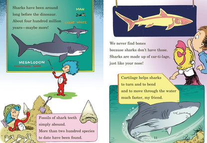 Hark! A Shark! All About Sharks