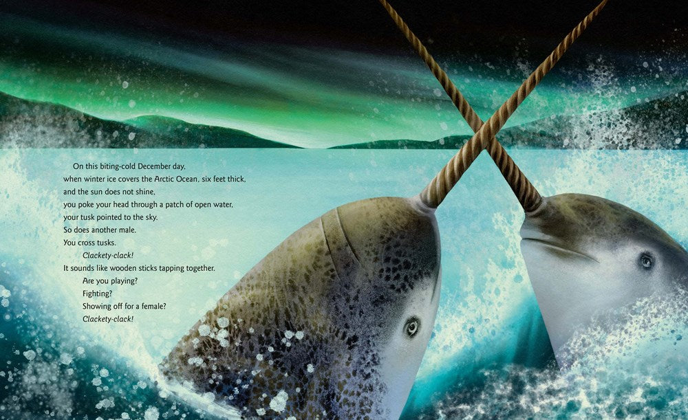 Narwhal: Unicorn of the Arctic