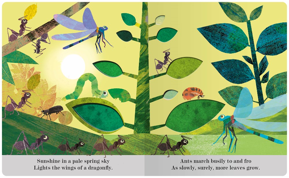 Bugs: A Peek-Through Picture Book