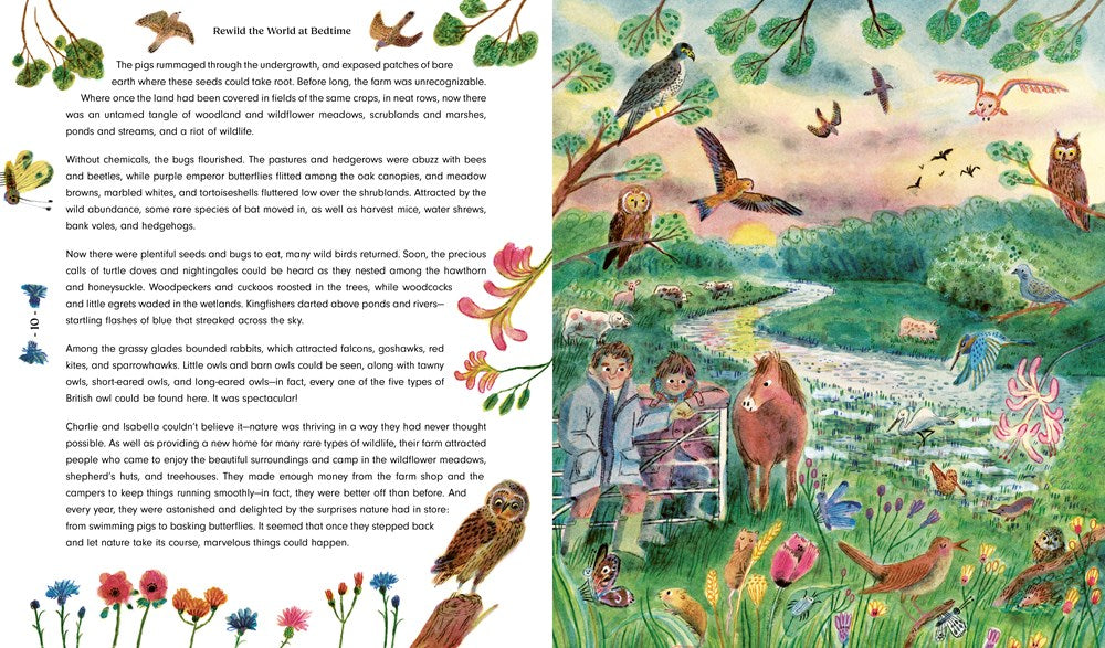 Rewild the World at Bedtime: Hopeful Stories from Mother Nature