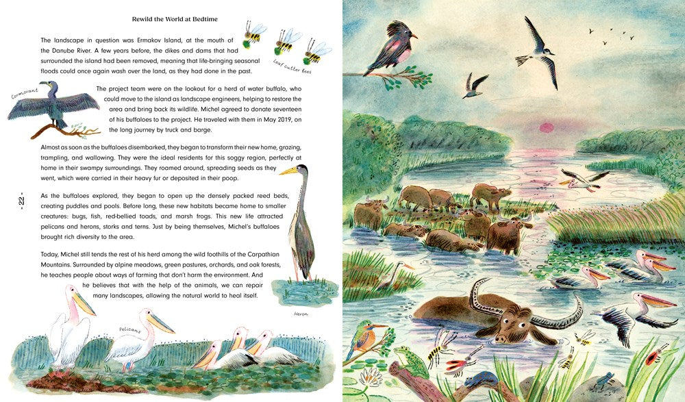 Rewild the World at Bedtime: Hopeful Stories from Mother Nature