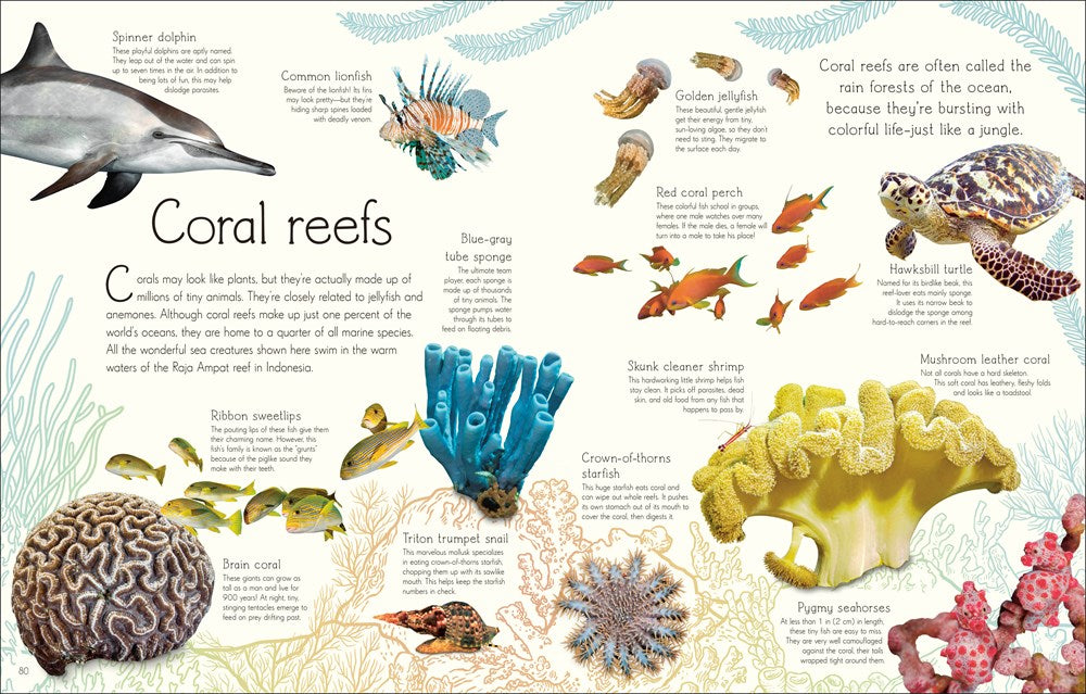 An Anthology of Aquatic Life