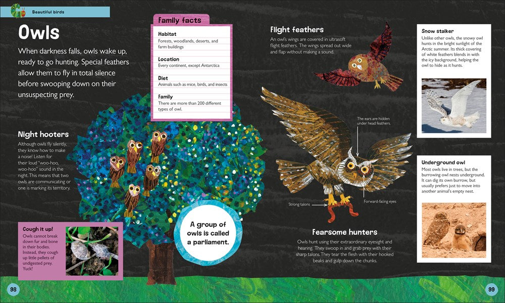 The Very Hungry Caterpillar's Very First Animal Encyclopedia: An Introduction to Animals, For VERY Hungry Young Minds