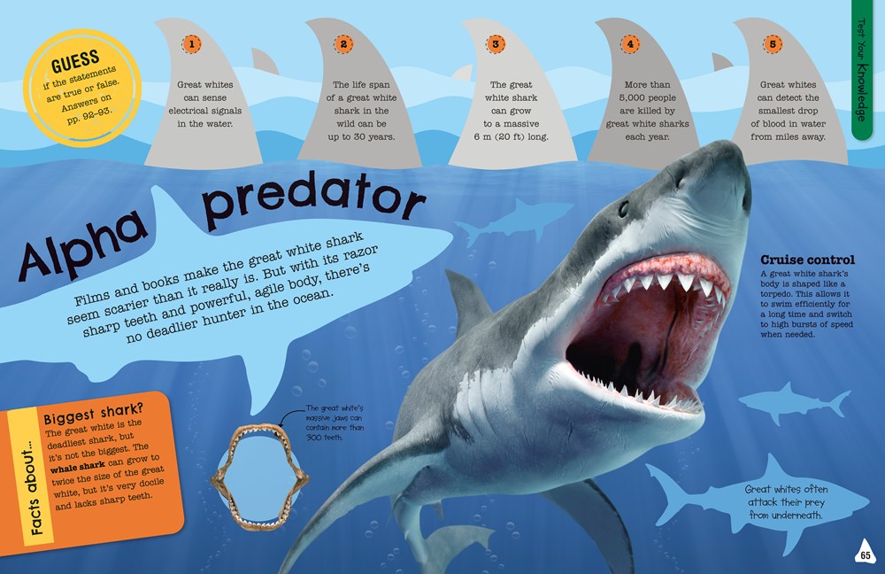 The Fact-Packed Activity Book: Sharks and Other Sea Creatures