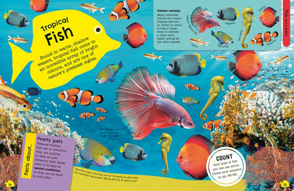 The Fact-Packed Activity Book: Sharks and Other Sea Creatures