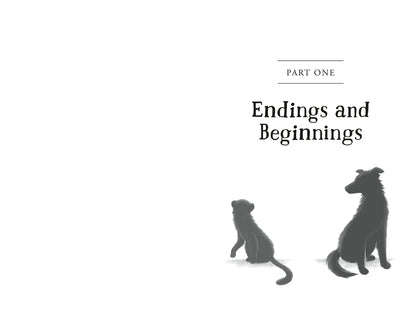 The Unlikely Tale of Chase and Finnegan