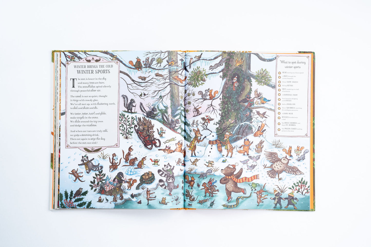 If You Go Down to the Woods Today: A Search and Find Adventure