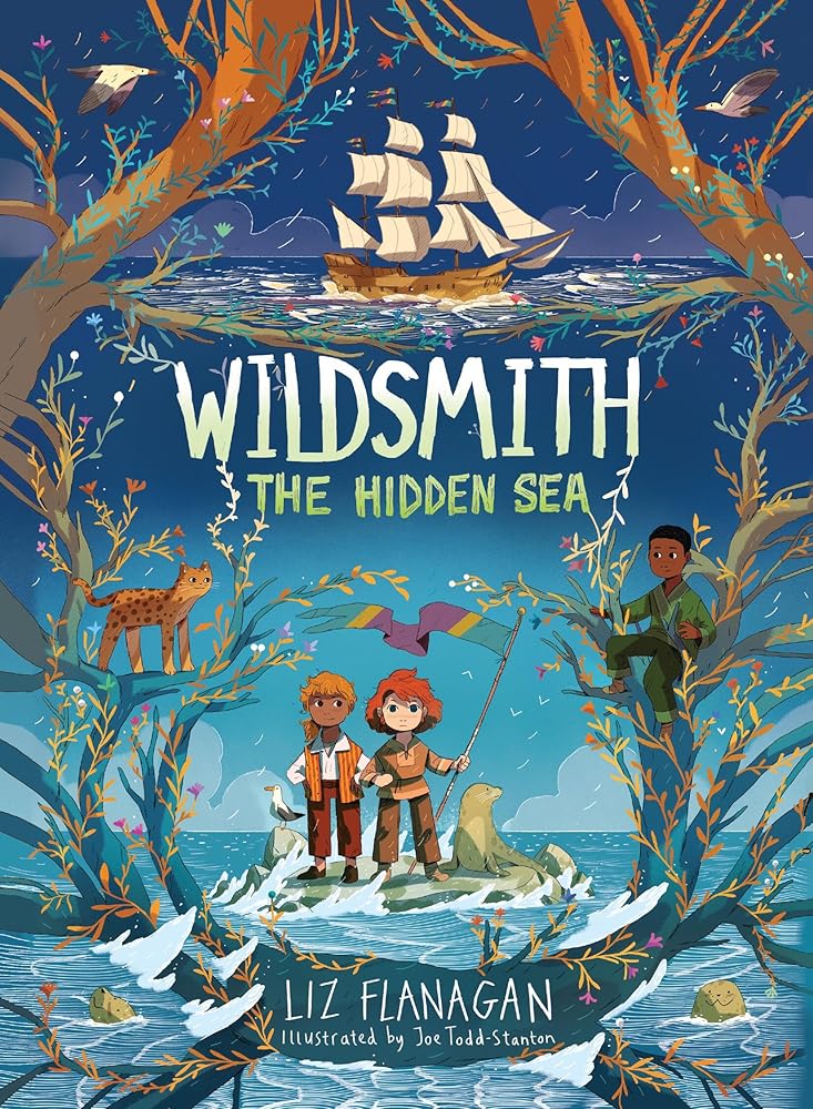 The Hidden Sea (Wildsmith) cover image