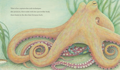 The Den That Octopus Built (Book #3)