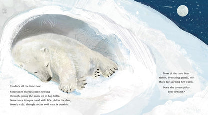 Ice Journey of the Polar Bear