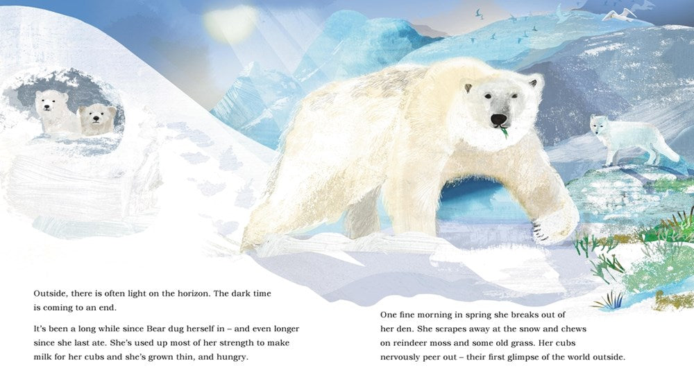 Ice Journey of the Polar Bear