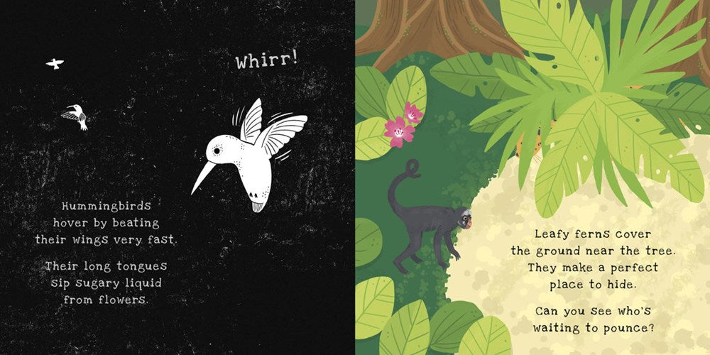 Secrets of the Rain Forest