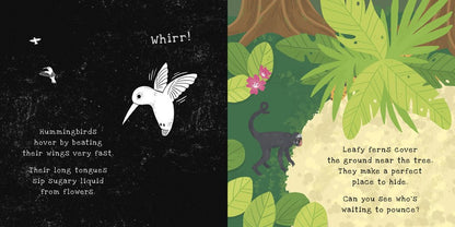 Secrets of the Rain Forest