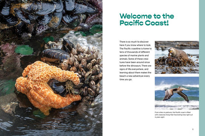 Let’s Explore the Beach!: A Young Naturalist’s Guide to Pacific Coastal Wildlife