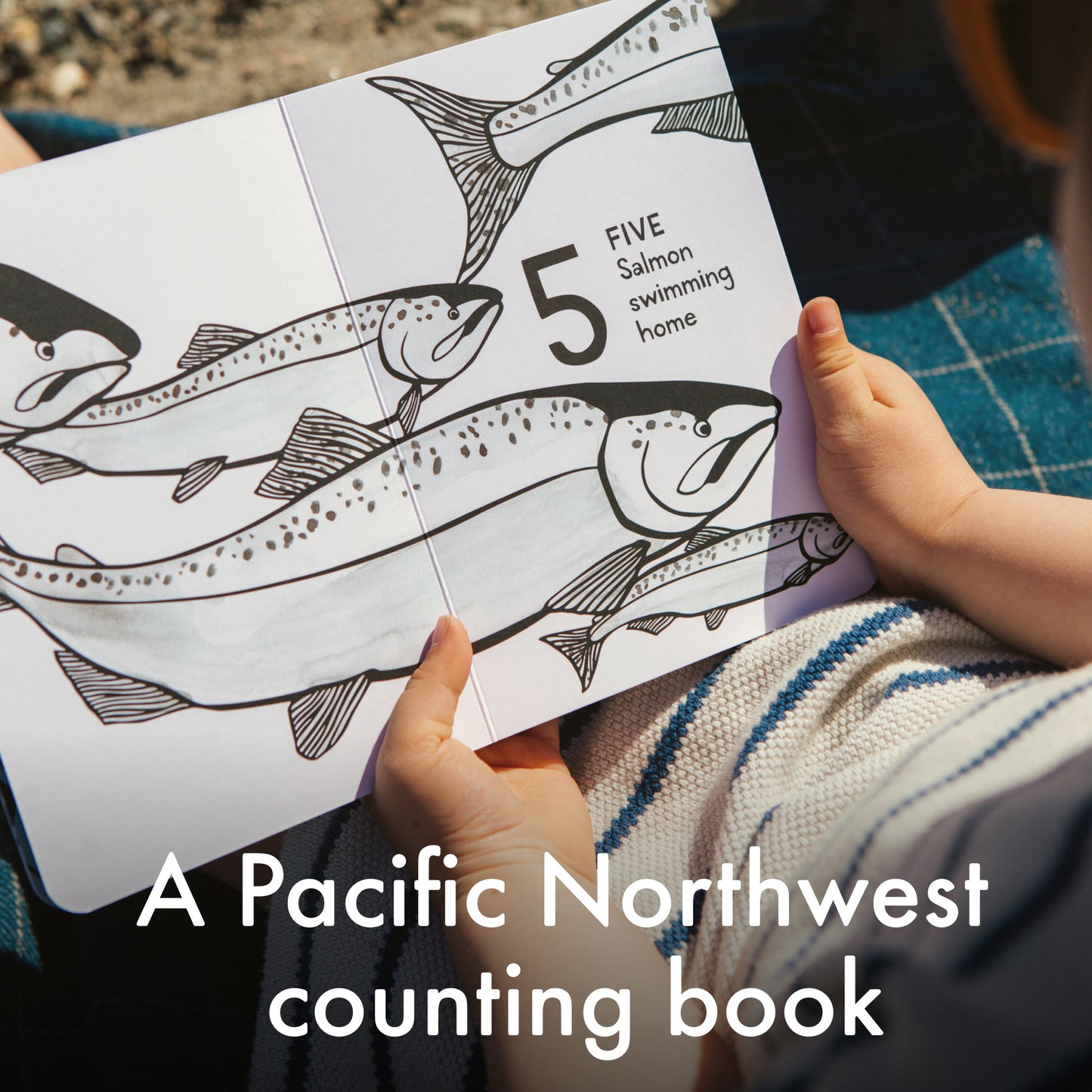1, 2, 3 Salish Sea: A Counting Book for Toddlers (Board Book Edition)