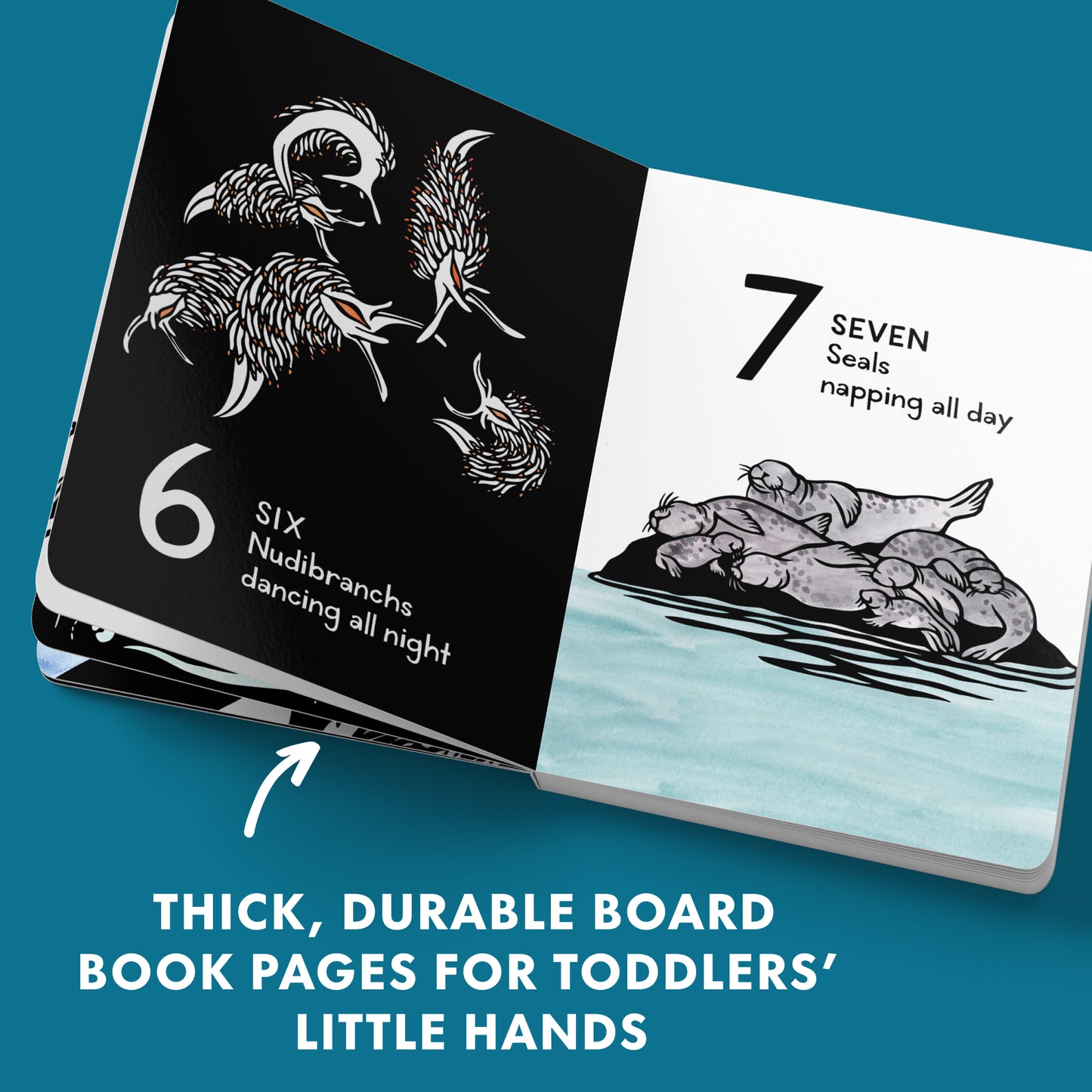 1, 2, 3 Salish Sea: A Counting Book for Toddlers (Board Book Edition)