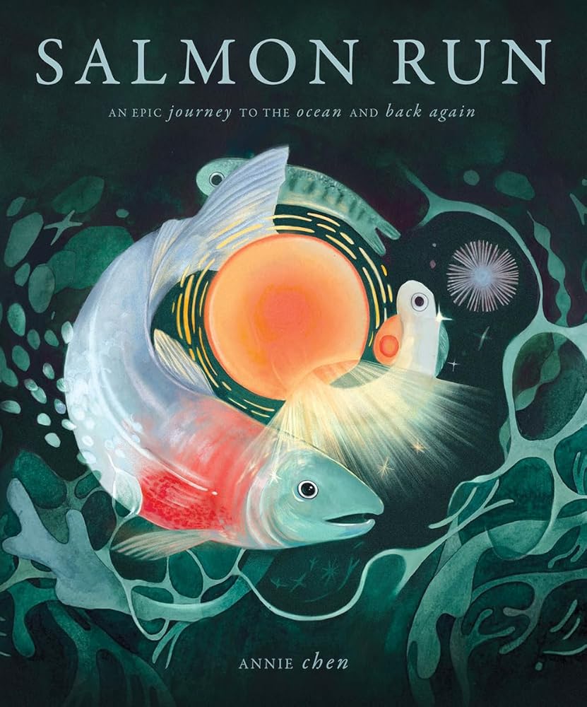 Salmon Run: An epic journey to the ocean and back cover image
