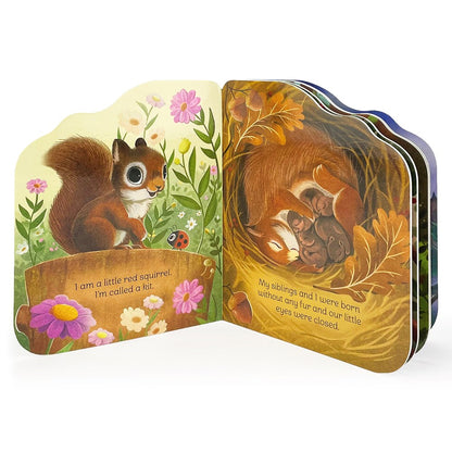 A Little Squirrel: An Animal Shaped Board Book