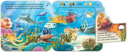 Ocean:  Peek-a-Flap