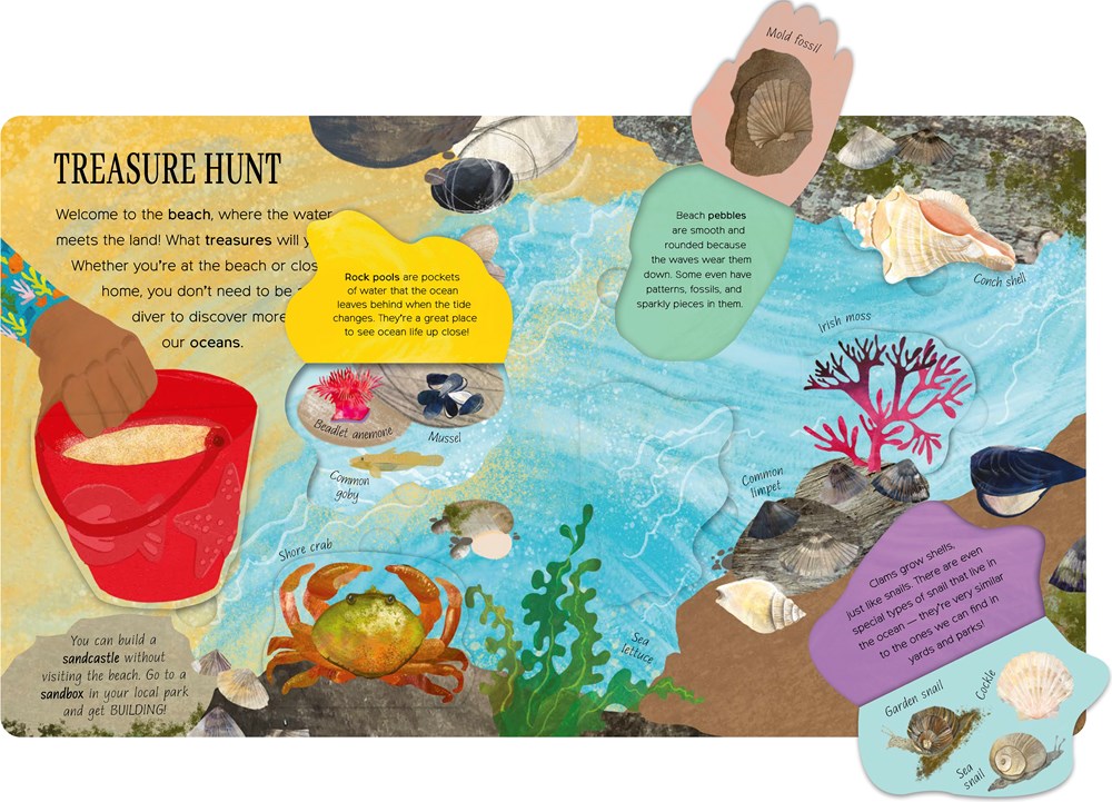 One Little Fish: Exploring Nature for Curious Kids