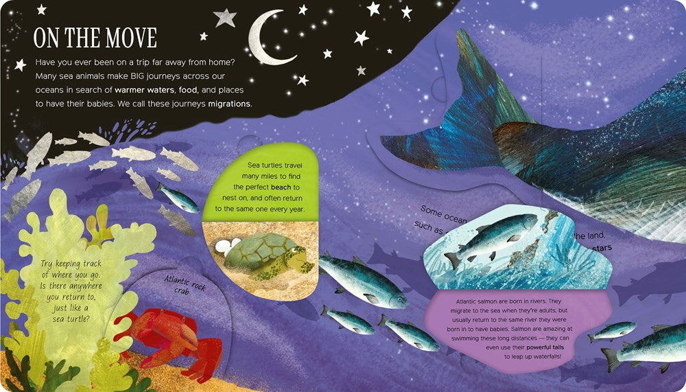 One Little Fish: Exploring Nature for Curious Kids