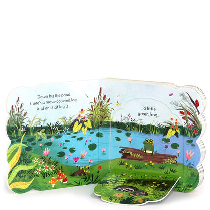 Little Green Frog: Chunky Lift-a-Flap Board Book