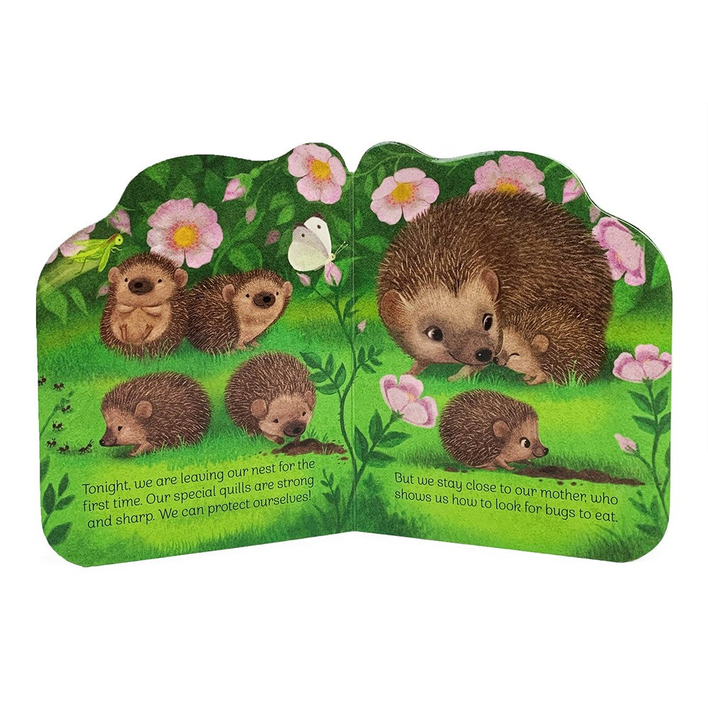 A Little Hedgehog: An Animal Shaped Board Book