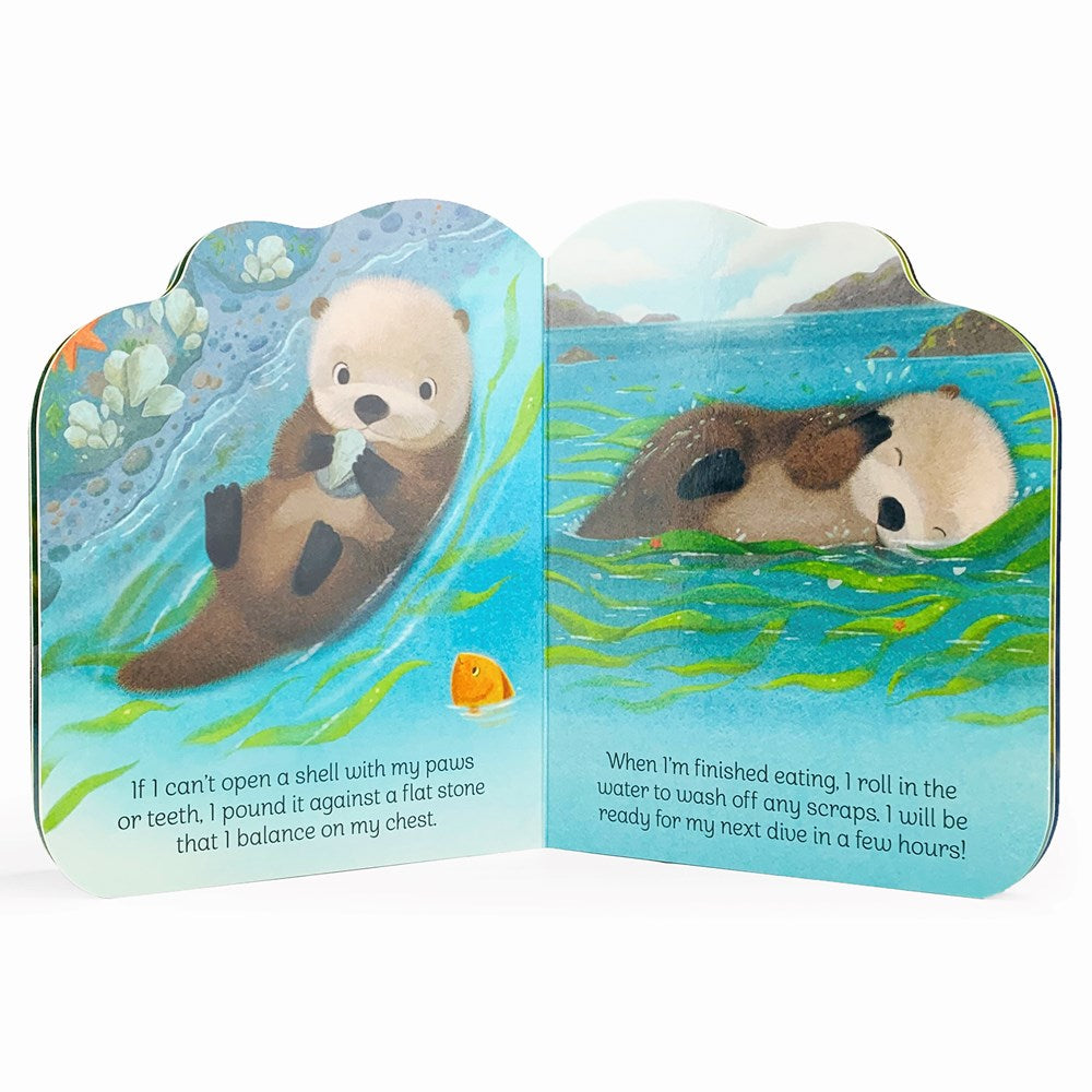 A Little Otter: An Animal Shaped Board Book