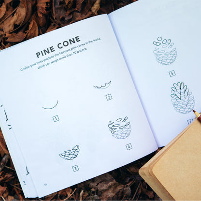 Fall Things: How to Draw Books for Kids with Pumpkins, Scarecrows, Turkeys and More (Book #10)